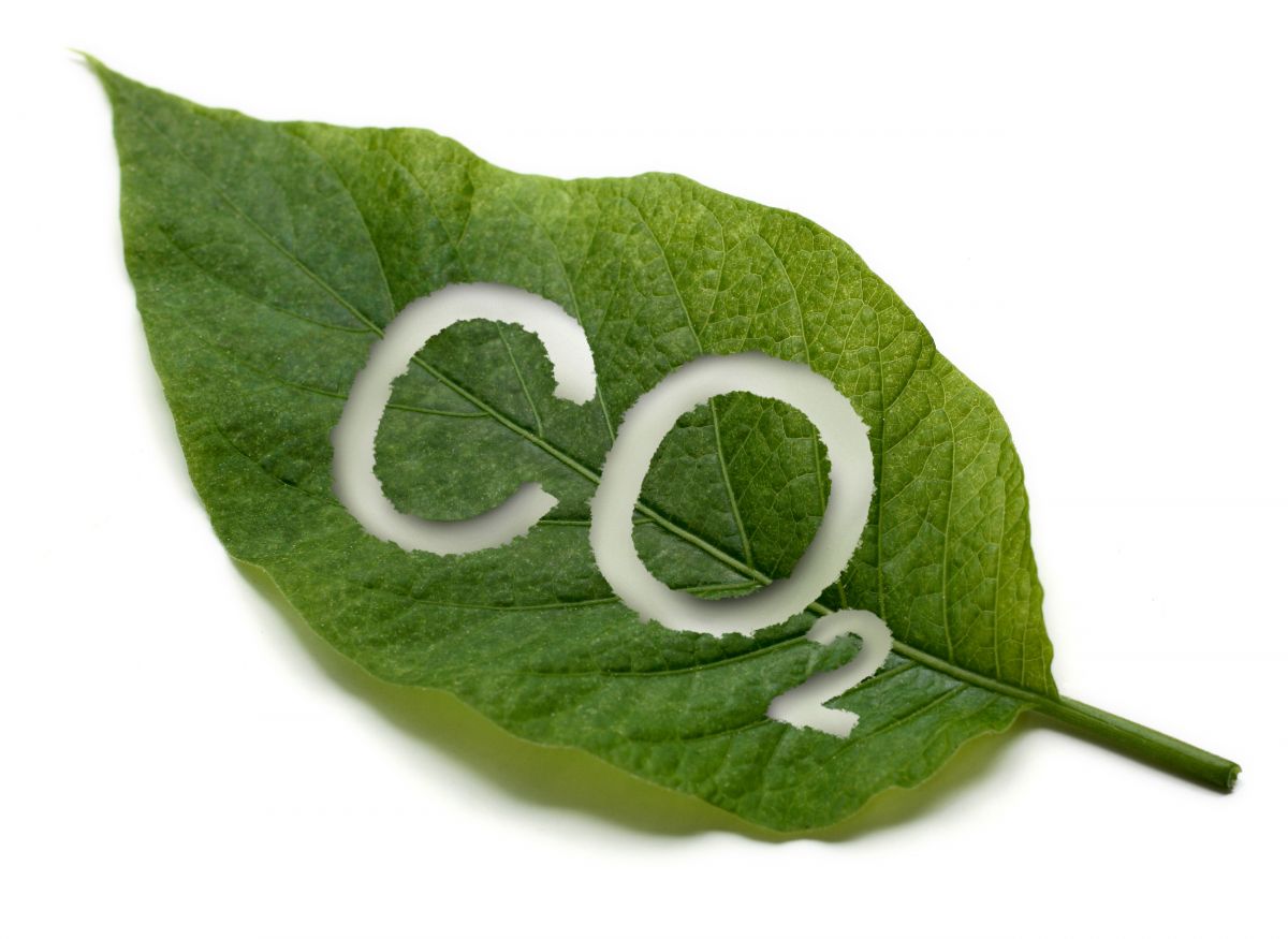 comprar semiremolque lonas